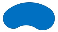 Kidney